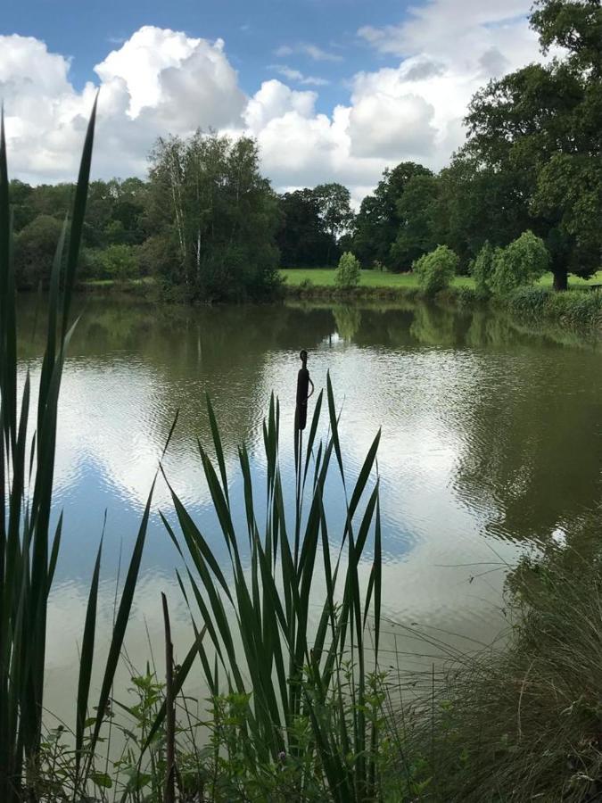 Domaine Du Clos Henri Essay ภายนอก รูปภาพ