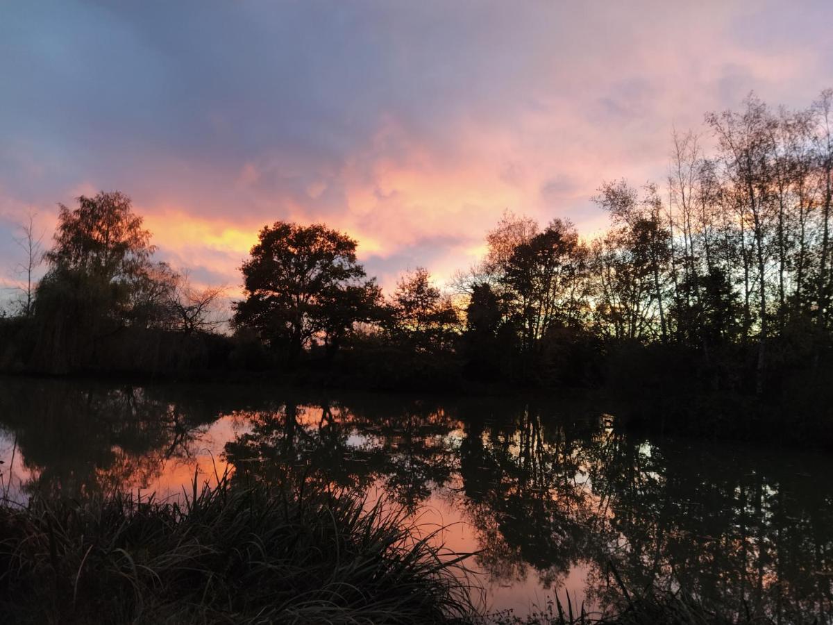 Domaine Du Clos Henri Essay ภายนอก รูปภาพ